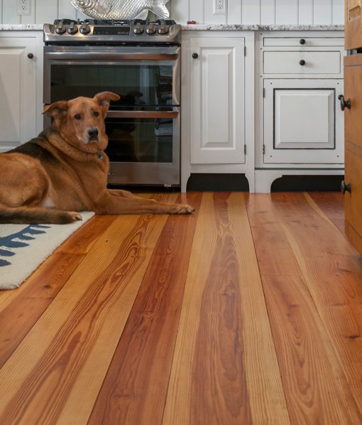 strong grained heart pine with a dog