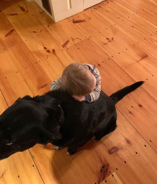 Wide Pine Plank Flooring with dog and baby
