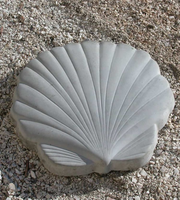 scallop stepper
