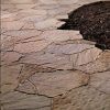 Arbel Pavers Beige