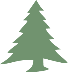 pine plank flooring icon