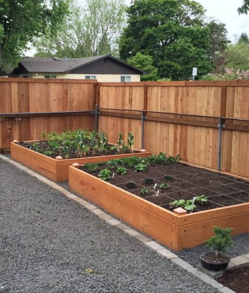 Cedar Garden Beds