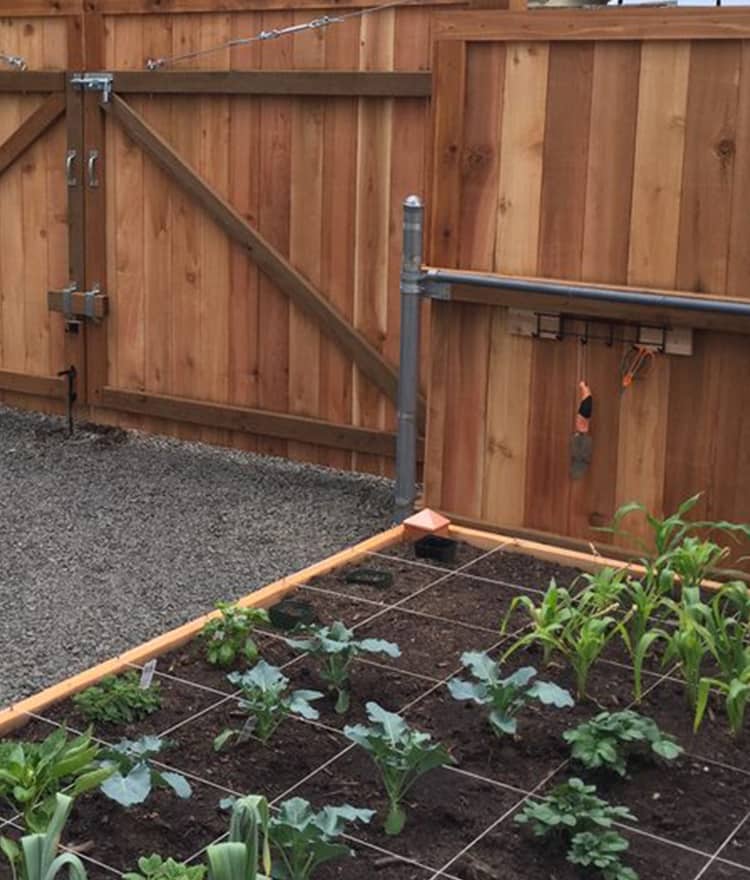 Cedar Garden Beds