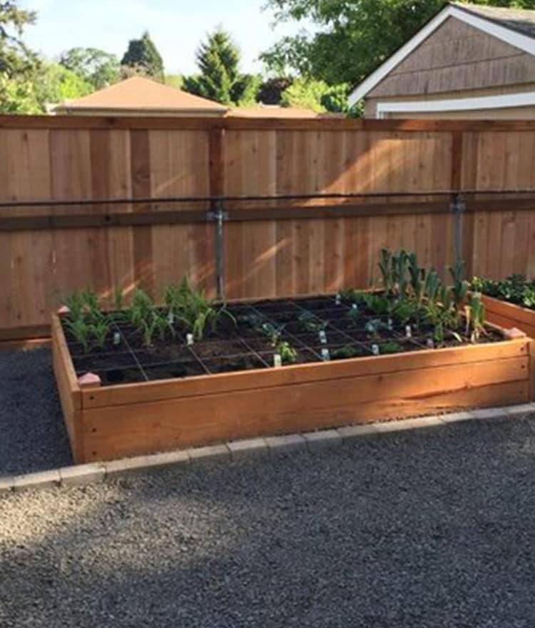 Cedar Garden Beds