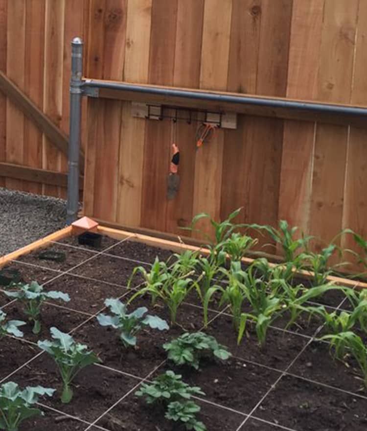 Cedar Garden Beds