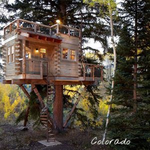 adult-tree-house