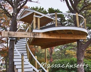 adult-tree-house-pine-plank