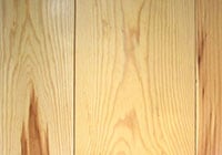 Pumpkin Pine