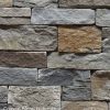 Coastal Blend Ledgestone Outdoor Stone Veneer