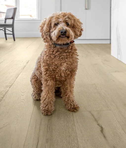 pet friendly flooring