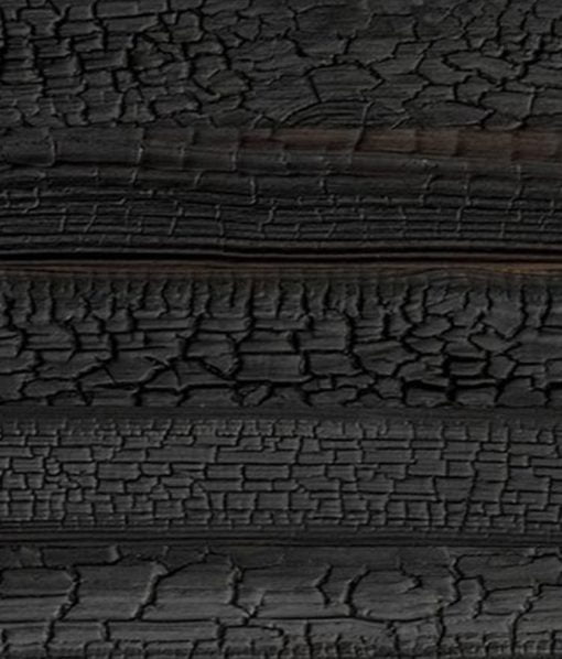 Alternative view of Fuji | Shou Sugi Ban