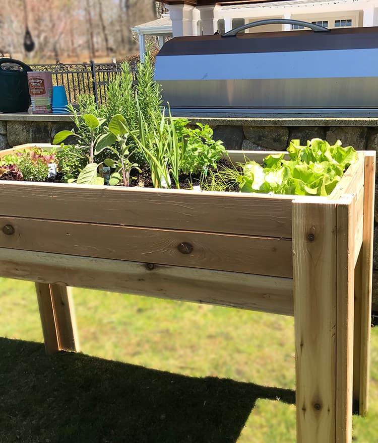 Elevated Planter Box, 2' x 4