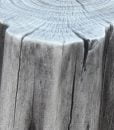 classic gray stump swatch