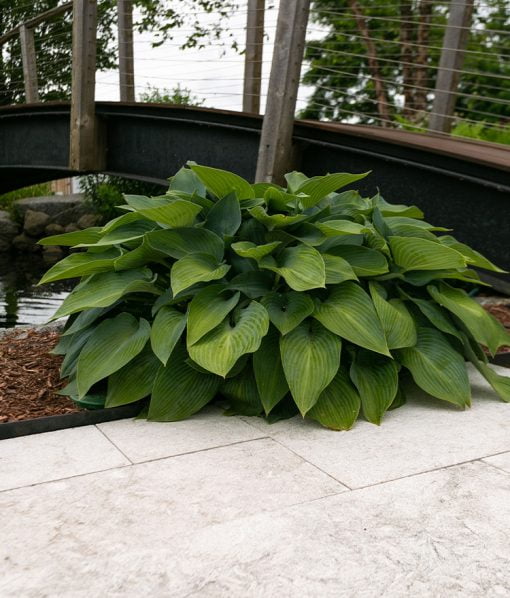 granite paver patio ideas