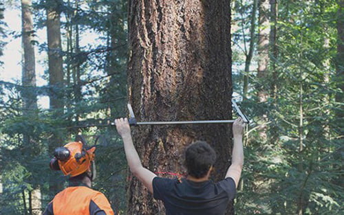 stonewoodproducts-warehouse