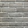 Sand Dollar - Thin Brick Veneer
