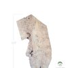 Cottonwood 115" <i>height</i><br>Live Edge Wood Slabs