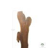 Walnut Slab 20.5-32" <i>wide</i> x 112" <i>height</i><br>Live Edge Wood Slabs